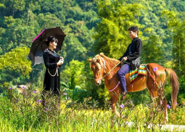 Độc đáo dịch vụ cưỡi ngựa homestay