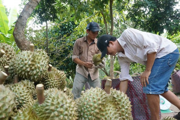 Những "cù lao tỷ phú” ở miền Tây
