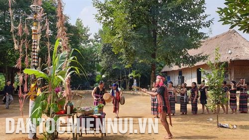 Nghi lễ dựng cây nêu của người Cơ-tu