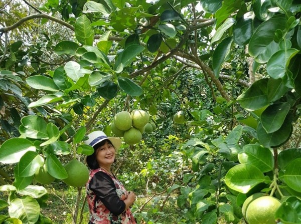 Nông nghiệp Đồng Nai gắn với phát triển du lịch. (Ảnh: Ngọc Khương)