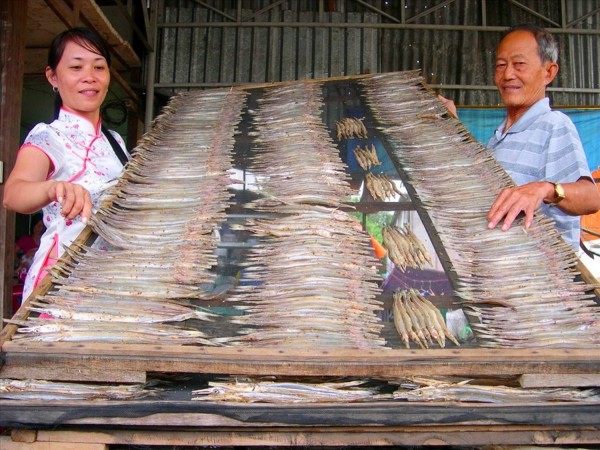 Làng khô cá biển Sông Đốc nhộn nhịp hơn khi vào mùa chính vụ