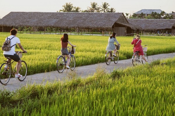 TP. Hà Nội hiện đang sở hữu nhiều lợi thế trong việc phát triển du lịch nông nghiệp, nông thôn thời gian tới. Ảnh minh họa
