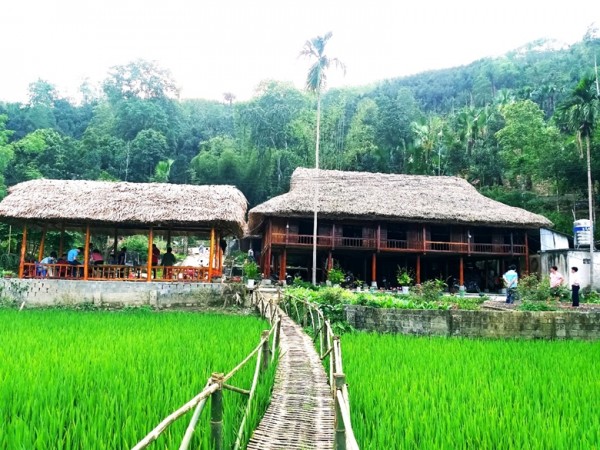 Nhà sàn là không gian lý tưởng cho dịch vụ homestay ở Nghĩa Đô