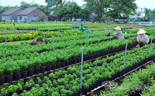 Hà Nội có 15/18 huyện, thị xã đạt chuẩn nông thôn mới, trong đó có 4 huyện đủ điều kiện về đích huyện nông thôn mới nâng cao .(Ảnh minh họa: TA)