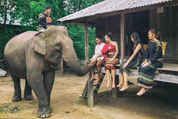 Đắk Lắk: Doanh nghiệp du lịch kêu gọi du khách "cười với voi thay vì cưỡi voi"