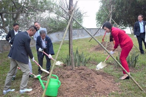 Các đại biểu trồng cây hoa anh đào tại Công viên Hòa Bình - Ảnh: Nguyễn Cúc