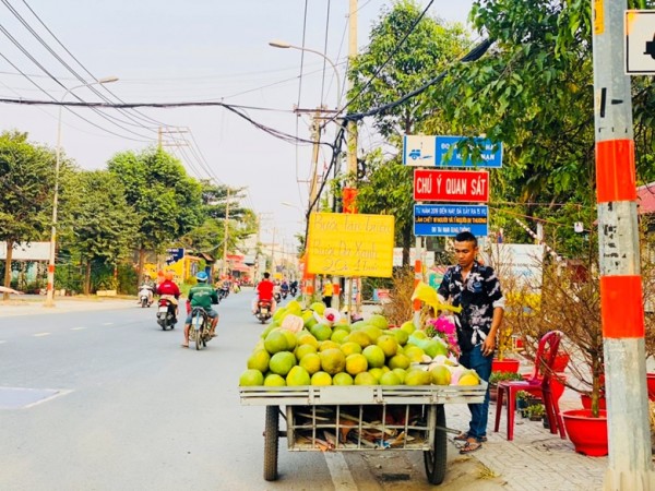 TP Hồ Chí Minh: Hướng đến mục tiêu hình thành đội ngũ nông dân chuyên nghiệp