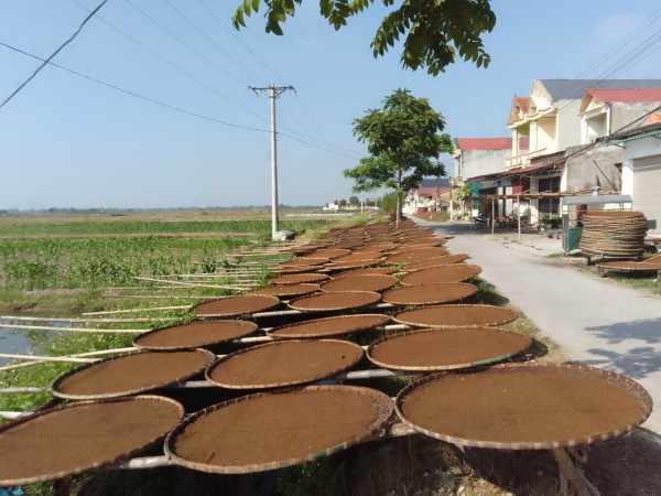 Công phu nghề trồng cây lấy lá, "hút vào nhả ra khói"