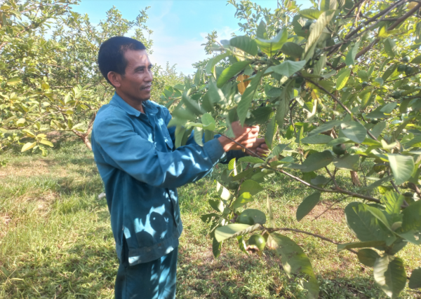 Chàng trai kiếm nửa tỷ mỗi năm nhờ phát triển mô hình kinh tế tổng hợp