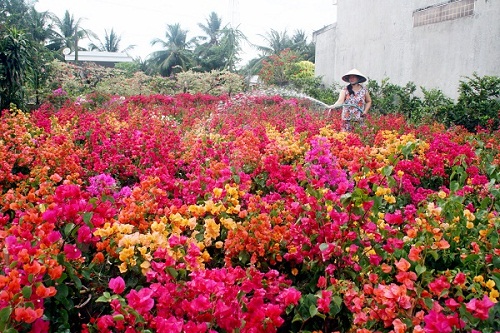 Trà Vinh: Nhiều chủ trương hiệu quả phát triển làng nghề truyền thống
