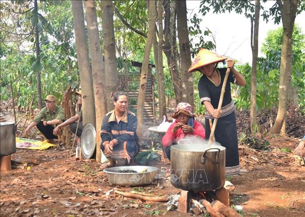 vna potal gia lai doc dao le cau mua cua nguoi jrai 221043596 stand