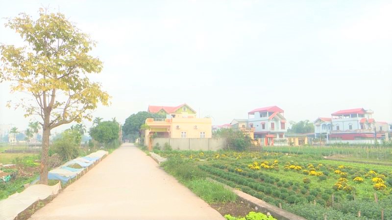 thuongtin1