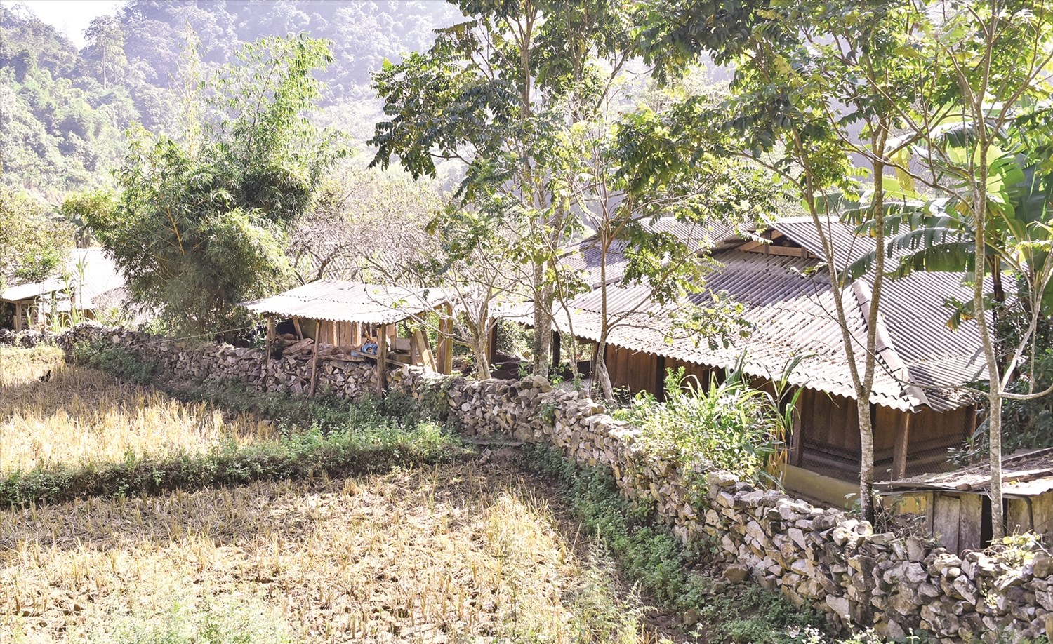 ban sai khao