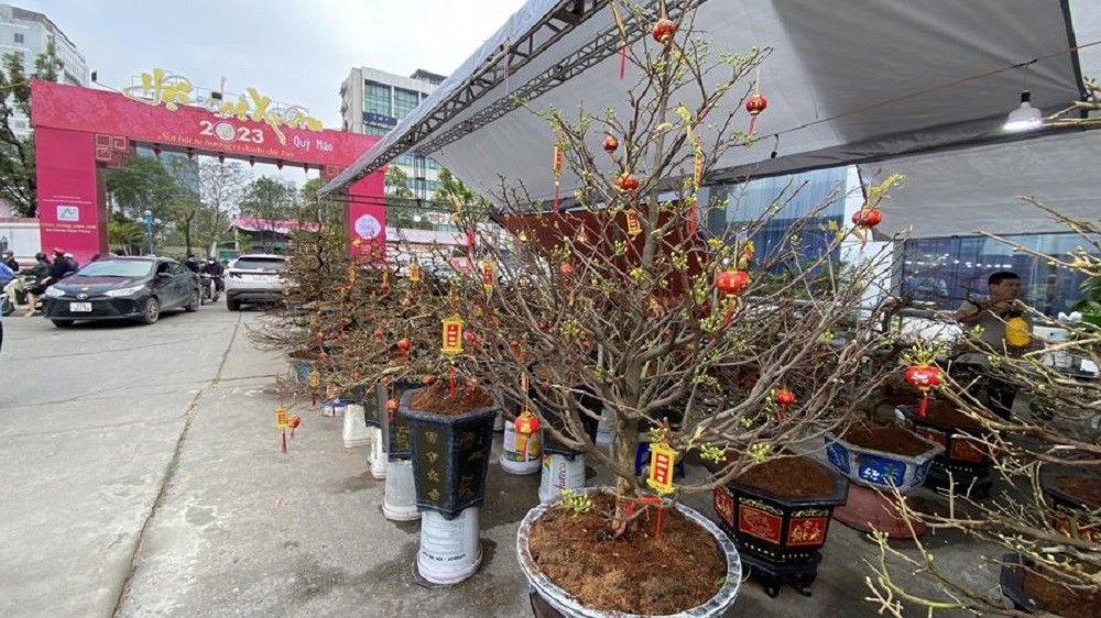 hội chợ 2