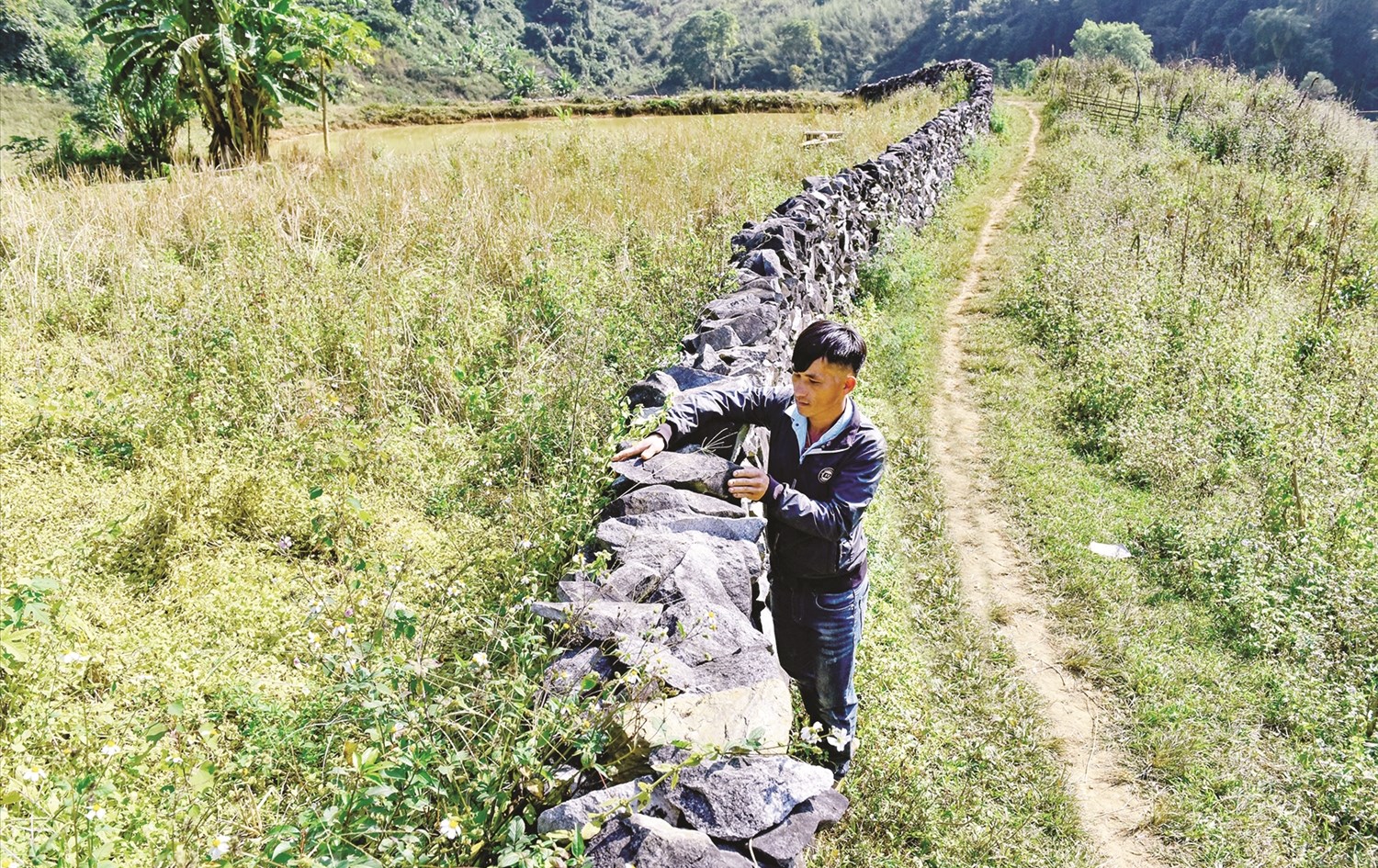 nguoi mong