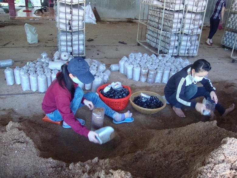san xuat nam
