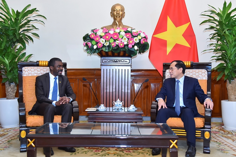 Bộ trưởng Ngoại giao Bùi Thanh Sơn tiếp ông Lazare Eloundou Assomo, Giám đốc Trung tâm Di sản Thế giới đến chào nhân chuyến thăm Việt Nam